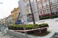 FOTO_QAP_CZ (22)