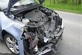 auto srazilo prase