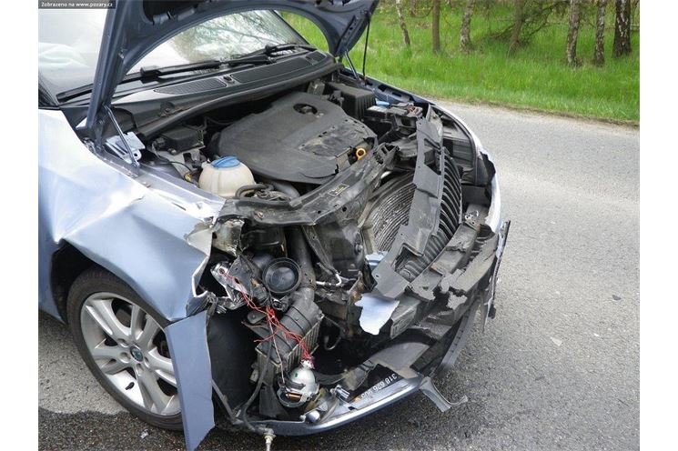 auto srazilo prase