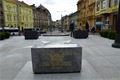 Pomnik_Diky,_Ameriko_-_zakryti_24.4.2016_004