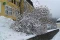 FOTO_Miluška Voldřichová (3)