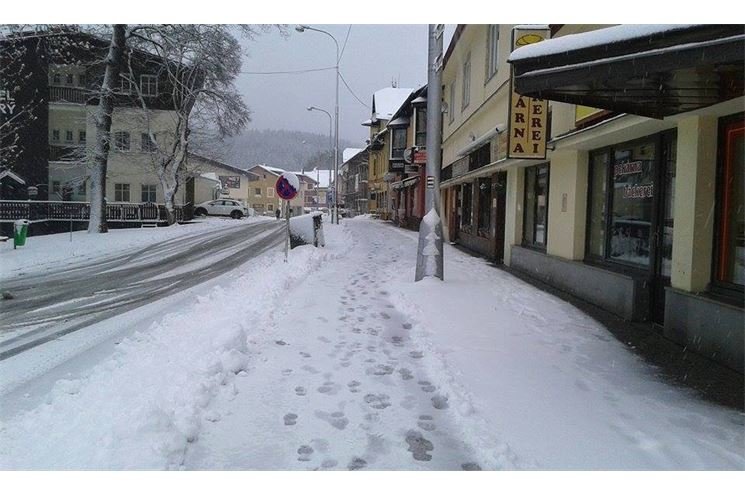 FOTO_Miluška Voldřichová (5)