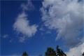 DSC03325