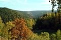Šumava446