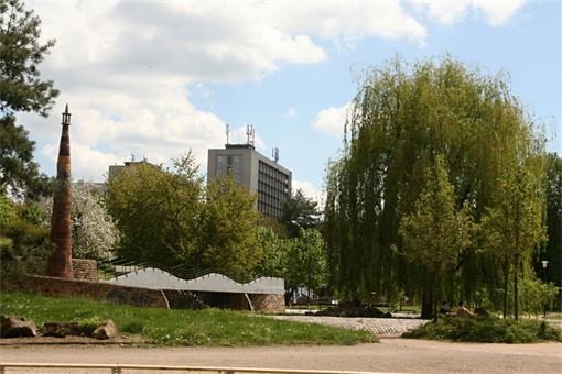 FOTO_QAP_CZ (11)