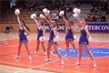 img00010