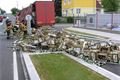 17.5.2016 DN Nepomuk (PJ 15.02) 02