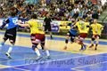 DSC_8534s (1)