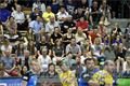 DSC_8950s (1)