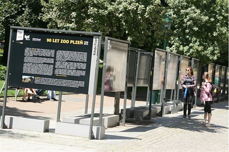 FOTO_QAP_CZ (1)
