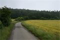 DSC05041