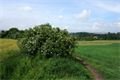DSC05104