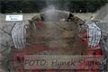 DSC_0667s (1)