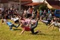 DSC05343