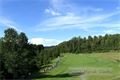 DSC_1316s (1)