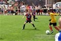 DSC_1760s (1)
