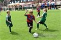 DSC_1774s (1)