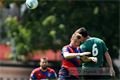 DSC_1871s (1)