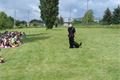 ViewImage (6)