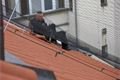 Postolka 30.6.2016 Plzen (3)