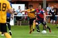 DSC_2328s (1)