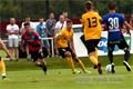 DSC_2400s (1)