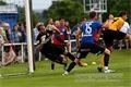 DSC_2401s (1)