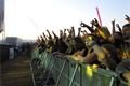 foto-facebook-basinfirefest (10)
