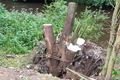 FOTO_Městský úřad Stříbro (7)