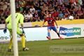 DSC_3178v (1)
