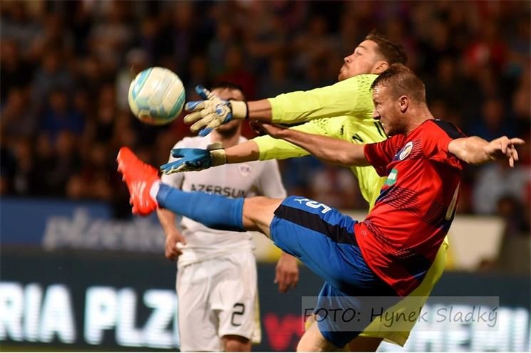DSC_3365v (1)