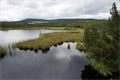 DSC06007