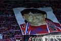 DSC_4395v (1)