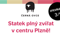 statek plny zvirat plzen (2)