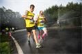 RunTour Plzeň foto pořadatel (77)