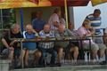 DSC_4856s (1)