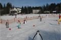 Penguinland1