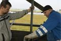 Oprava ornitologické věže 28.9 (7)