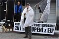 Demonstrace narodni demokracie (20)
