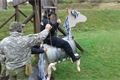 20161006_103913