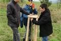 stromy_Zbiroh (5)
