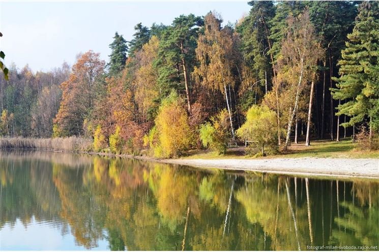 Podzim_8.11.2016_042 Podzim_8.11.2016_042