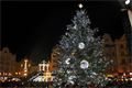 Plzen rozsviceni stromu2016 (6)