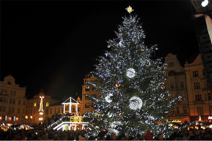 Plzen rozsviceni stromu2016 (6) Plzen rozsviceni stromu2016 (6)