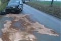 25.11.2016 (PS 7.19) DN Hromnice, Žichlice