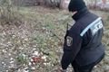 IMG_20161130_114452