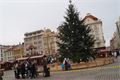 DSC05086
