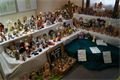 DSC05141