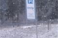 20161218_141624