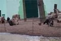 DSC05296